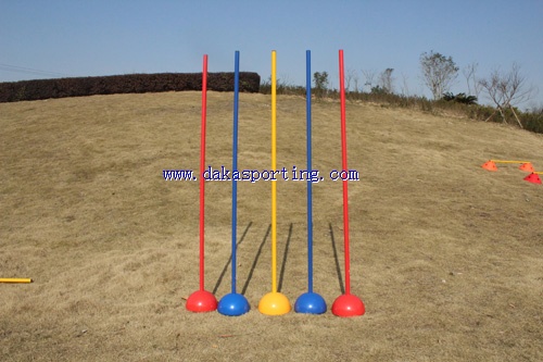 training poles with base