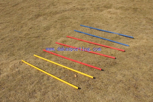 training poles with base